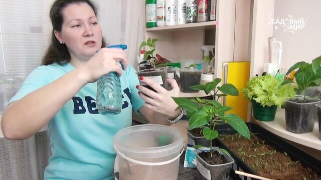 HD порно 155948