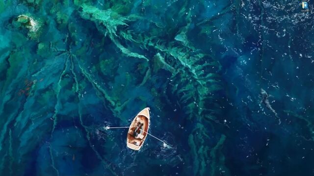 HD порно 176125