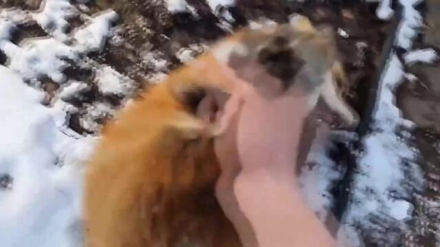 HD порно 154378