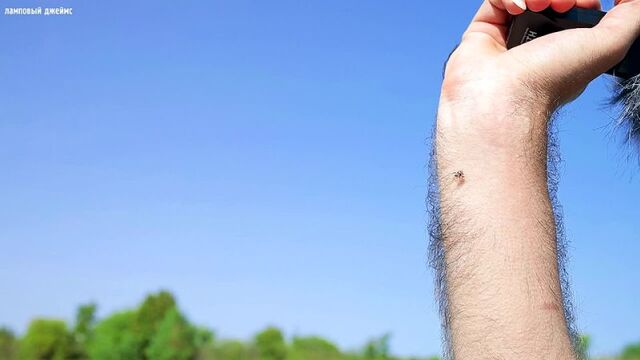 HD порно 164848