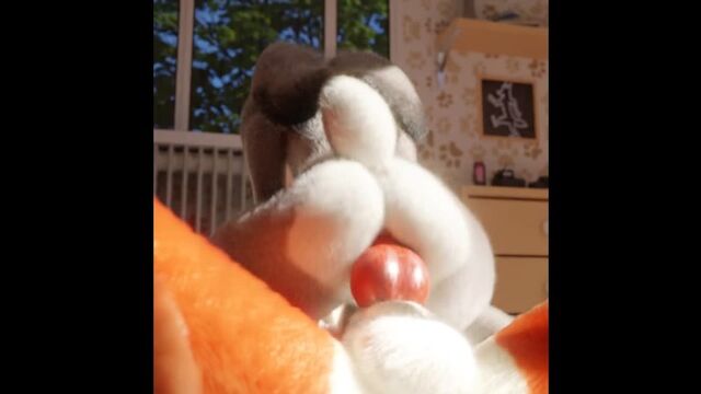 HD порно 124651