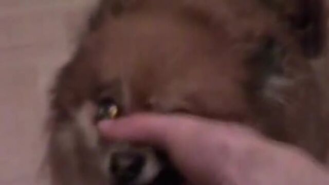 HD порно 126642