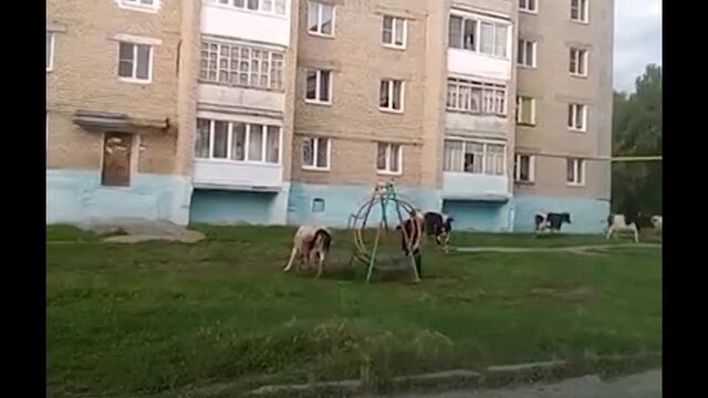 HD порно 184737