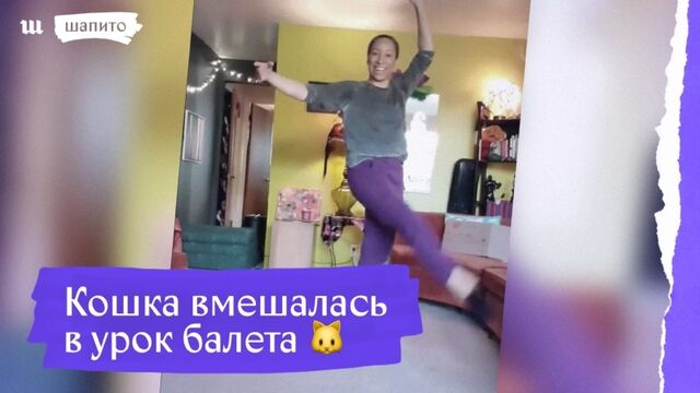 HD порно 187338