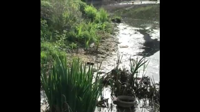 HD порно 189621