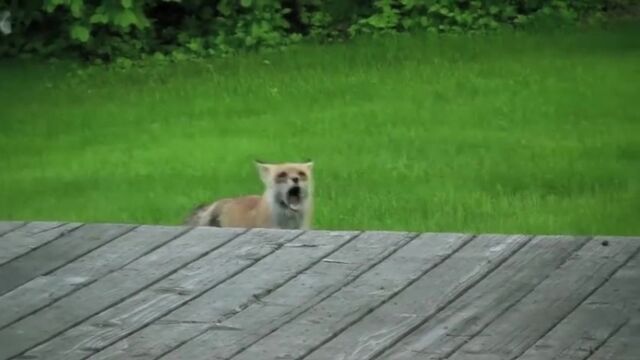 HD порно 136434