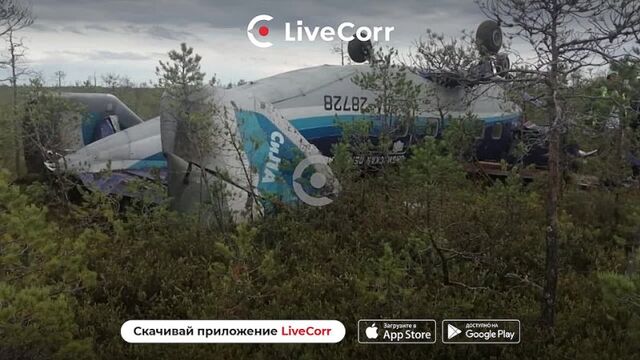 HD порно 113834