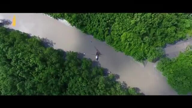HD порно 39448