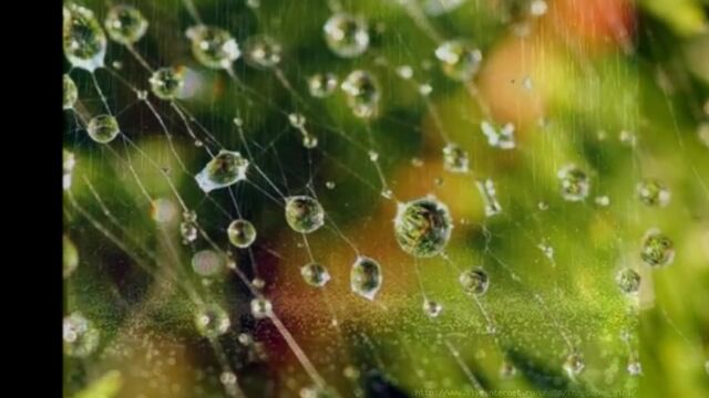 HD порно 119190