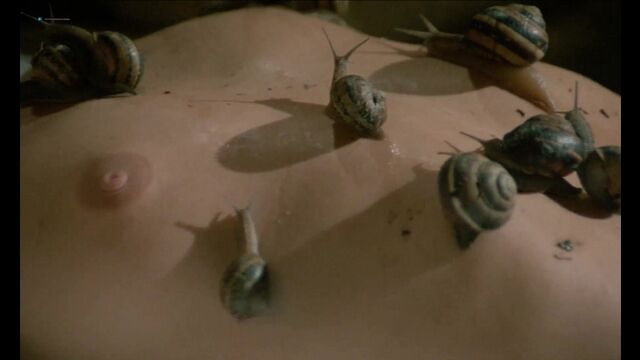 HD порно 161390