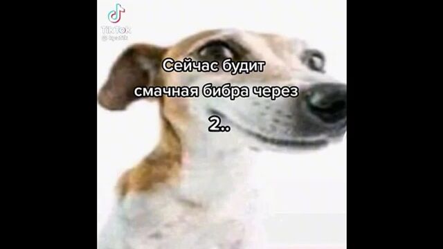 HD порно 146985