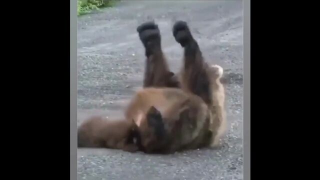 HD порно 159092