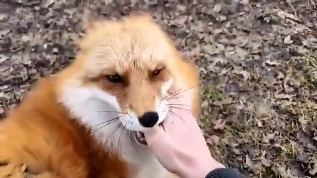 HD порно 171983