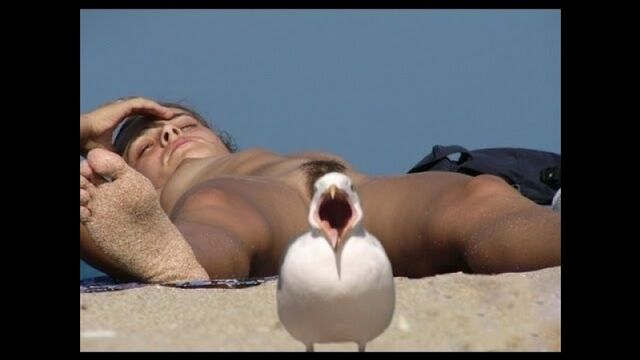 HD порно 164901