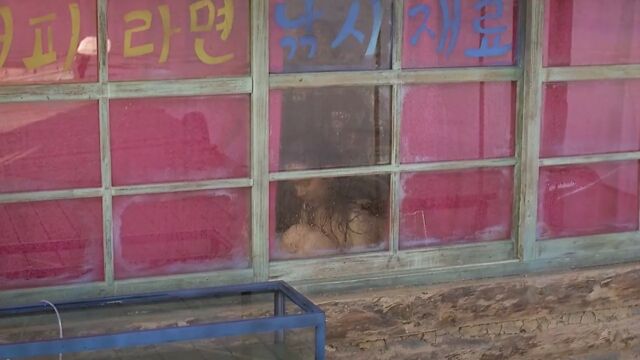 HD порно 136319