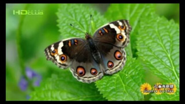 HD порно 153886